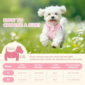 Small Dog Collar Harness and Leash Set for Daily Walks 2