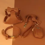 Small Dog Harness Collar Leash Set for XS Dogs Nylon 5 | PricZone