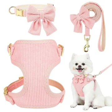 Small Dog Collar Harness and Leash Set for Daily Walks 1 | PricZone