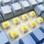 Gateron PreLubed 5Pin Linear Keyboard Switches with Light 6 | PricZone Gateron Pre Lubed 5 Pin Linear Keyboard Switches with Light 6 | PricZone