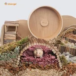 Wooden Ladder Bridge Hamster Mouse Rat Chew Toy 2 | PricZone