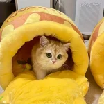 Honey Jar Cat Bed Warm Soft and Comfortable for Autumn 5 | PricZone Honey Jar Cat Bed Warm Soft and Comfortable for Autumn 5 | PricZone