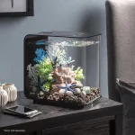Low 15 Acrylic 4Gallon Aquarium with White LED Lights Ern 2 | PricZone Low 15 Acrylic 4 Gallon Aquarium with White LED Lights Ern 2 | PricZone