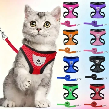 Pet Chest Strap Harness Leash Set Dog Cat Mesh Breathable 1 | PricZone