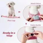 Dog Harness and Leash Set Outdoor Walking Soft Mesh 4 | PricZone