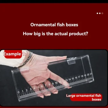 Transparent Fish Viewing Box Rectangle Desktop Goldfish 2
