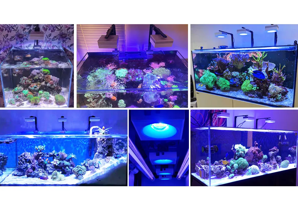 Popbloom Rl90 Aquarium LED Reef Light 100W Smart-App 24