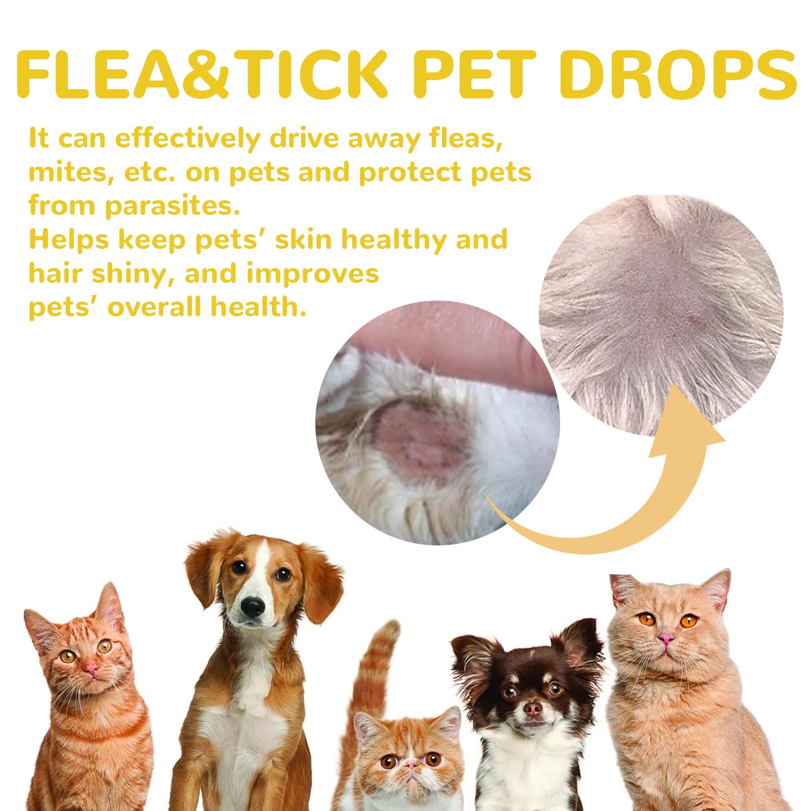 Yegbong Pet External Insect Repellent Drops Tick Removal 2 | PricZone Yegbong Pet External Insect Repellent Drops Tick Removal 2 | PricZone