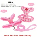 Cute Pet Harness and Leash Set for Small Dogs AntiEscape 3 | PricZone Cute Pet Harness and Leash Set for Small Dogs Anti Escape 3 | PricZone