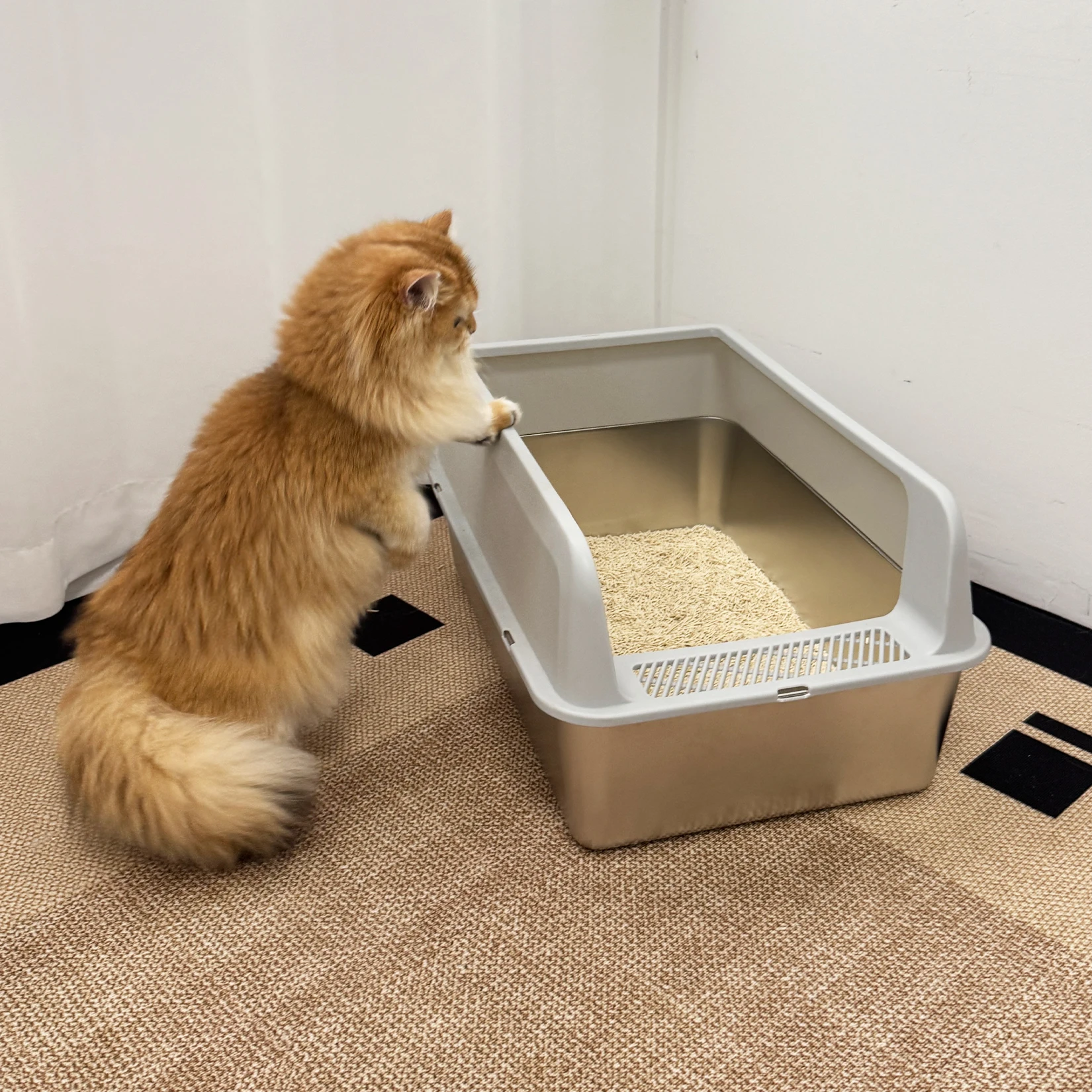 Stainless Steel Cat Litter Box Semi-Open High-Sided Pan 17