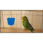 10 Pack Cage Cups Bird Feeders Seed Bowl Chicken Feeding 5 | PricZone