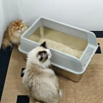 Stainless Steel Cat Litter Box Semi Open High Sided Pan 3 | PricZone