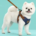 Lead Leash Set for SmallMedium Cat Vest Chest Strap Puppy 5 | PricZone