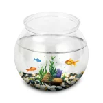 Fish Bowl Plastic L M S Sizes Desktop Aquarium Tanks Round 1 | PricZone
