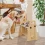 Height-Adjustable Elevated Dog Bowls Tall Raised Feeder