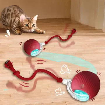 Interactive Cat Ball with Long Lasting Durable Design 1 | PricZone
