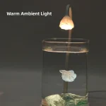 Glass Aquarium Desktop Round Corner Square Tank with Cover 5 | PricZone