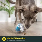 IQ Treat Ball Dog Dispenser Toy Interactive 5 | PricZone