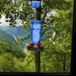 Hanging Glass Hummingbird Feeder Outdoor Bird Leak Proof 5 | PricZone