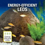 Aquarium 20 Gallon Complete Tropical Fish Tank Kit with LED 6 | PricZone Aquarium 20 Gallon Complete Tropical Fish Tank Kit with LED 6 | PricZone