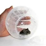 Silent Hamster Wheel for Small Animals Transparent Exercise 4 | PricZone