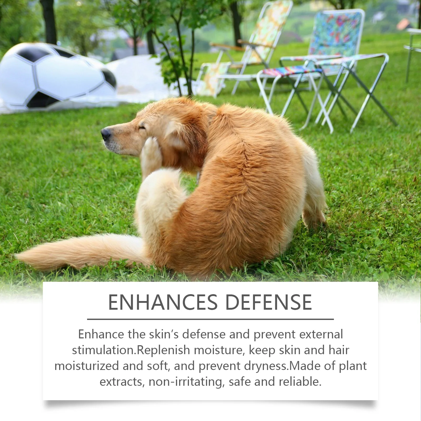 Dog Shampoo Conditioner Moisturizing for Sensitive Skin pH 12