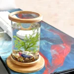 360 Degree Rotating Glass Betta Fish Tank Bamboo Base 3 | PricZone