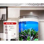Ltt Semi Round Fish Tank Aquarium Living Room 4 | PricZone