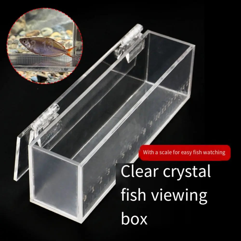 Transparent Fish Viewing Box Rectangle Desktop Goldfish 13