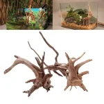 Natural Tree Trunk Driftwood Aquarium Fish Tank Reptile 4 | PricZone Natural Tree Trunk Driftwood Aquarium Fish Tank Reptile 4 | PricZone