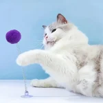 321Pcs Interactive Cat Toys Includes Plush Ball Metal 2 | PricZone