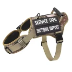 Adjustable Tactical Service Dog Harness with Handle 4 | PricZone Adjustable Tactical Service Dog Harness with Handle 4 | PricZone
