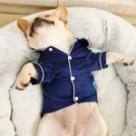 Soft Silk Pet Pajamas for Small Dogs and Cats 5 | PricZone Soft Silk Pet Pajamas for Small Dogs and Cats 5 | PricZone