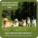 Pet FleaTick Drops Effectively Repel Fleas Keep Skin 2 | PricZone Pet FleaTick Drops Effectively Repel Fleas Keep Skin 2 | PricZone