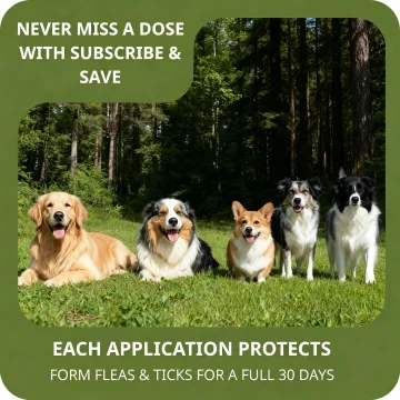 Pet Flea&Tick Drops Effectively Repel Fleas Keep Skin 2