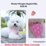 Cute Pet Harness and Leash Set for Small Dogs AntiEscape 5 | PricZone Cute Pet Harness and Leash Set for Small Dogs Anti Escape 5 | PricZone