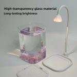Glass Aquarium Desktop Round Corner Square Tank with Cover 2 | PricZone