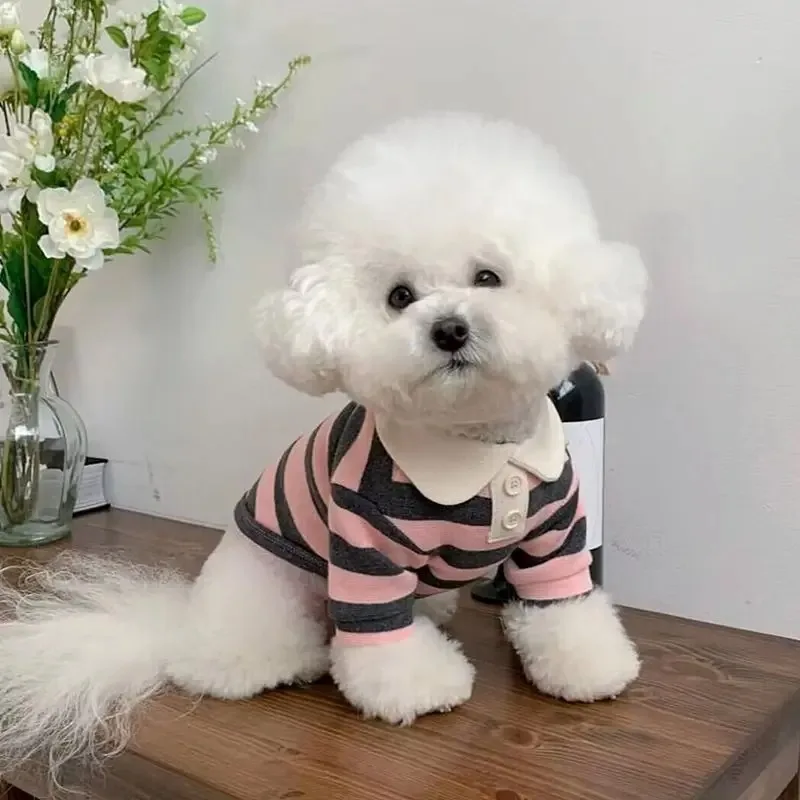 Summer Polo Shirt for Small Medium Dogs Bichon Frise 3 | PricZone Summer Polo Shirt for Small Medium Dogs Bichon Frise 3 | PricZone