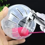Silent Hamster Wheel for Small Animals Transparent Exercise 5 | PricZone