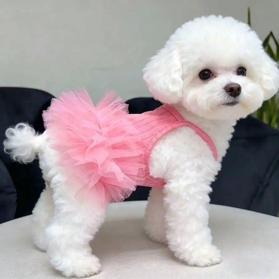Pink Dog Tutu Valentine Day Dress Small Doggy 5 | PricZone Pink Dog Tutu Valentine Day Dress Small Doggy 5 | PricZone
