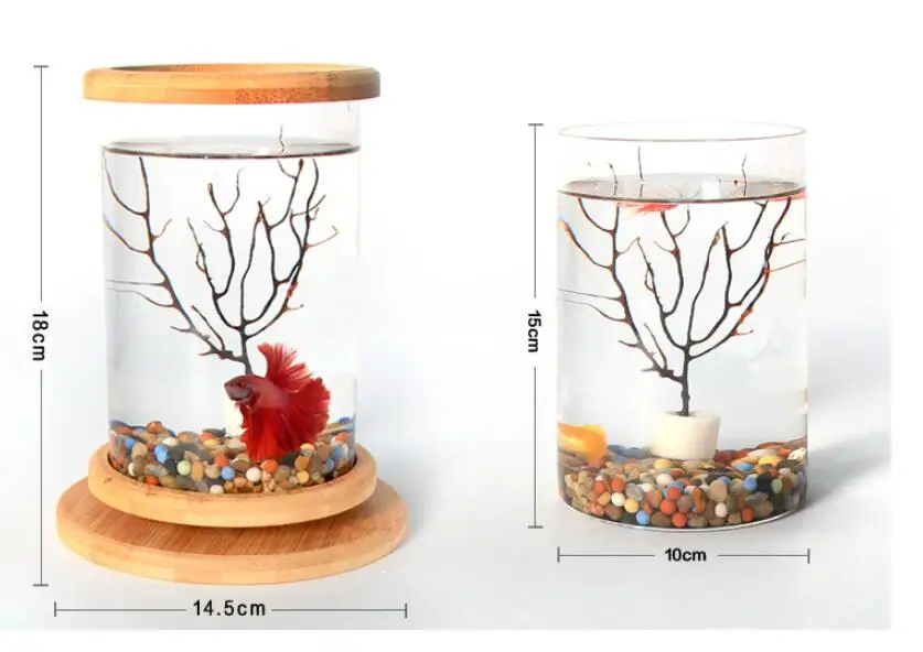 360 Degree Rotating Glass Betta Fish Tank Bamboo Base 10