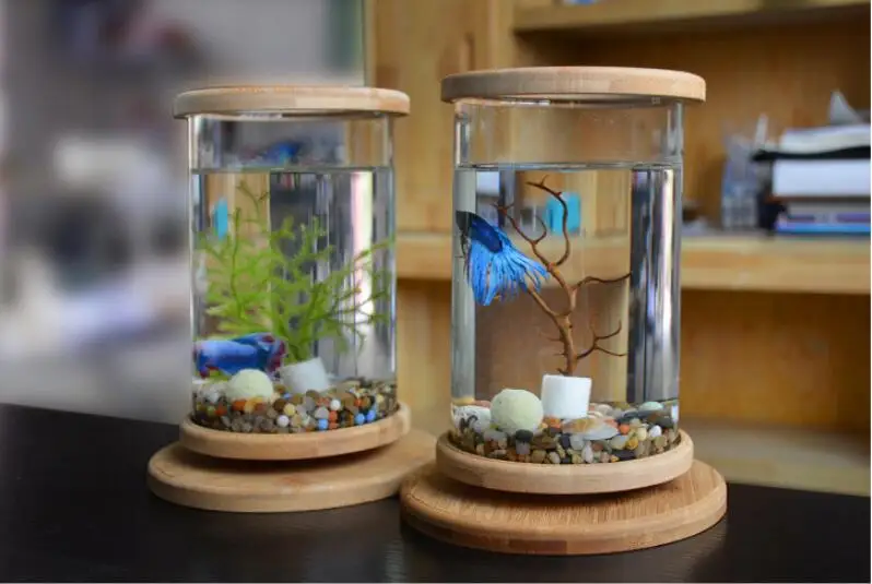360 Degree Rotating Glass Betta Fish Tank Bamboo Base 19