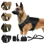 Tactical Dog Harness Collar Leash Molle Pouches for Medium 1 | PricZone Tactical Dog Harness Collar Leash Molle Pouches for Medium 1 | PricZone