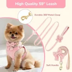 Small Dog Collar Harness and Leash Set for Daily Walks 5 | PricZone Small Dog Collar Harness and Leash Set for Daily Walks 5 | PricZone
