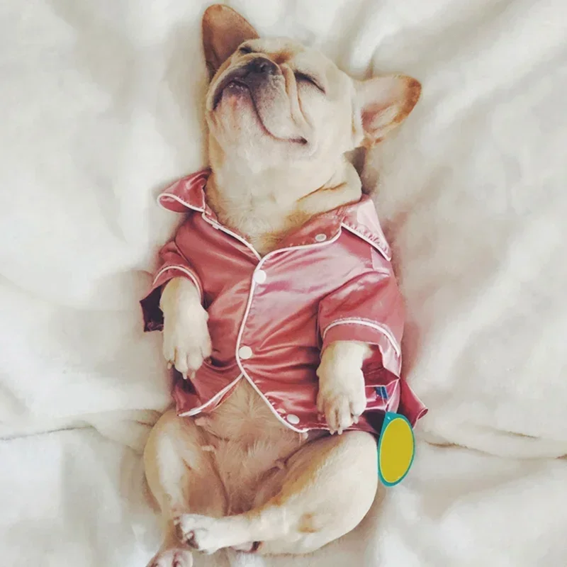 Soft Silk Pet Pajamas for Small Dogs and Cats 3 | PricZone Soft Silk Pet Pajamas for Small Dogs and Cats 3 | PricZone