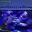 Populargrow Dimmable 115Cm LED Aquarium Light with All