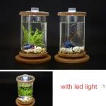 360 Degree Rotating Glass Betta Fish Tank Bamboo Base 5 | PricZone