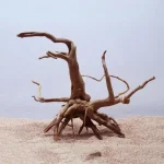 Natural Tree Trunk Driftwood Aquarium Fish Tank Reptile 2 | PricZone Natural Tree Trunk Driftwood Aquarium Fish Tank Reptile 2 | PricZone