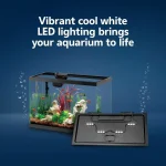 Aquarium Starter Kit with Smart Clean Iltration and LED 4 | PricZone