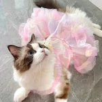 Spring Princess Pet Dress Lace Skirt 4 | PricZone